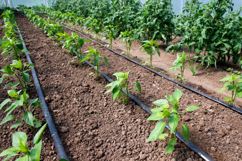 Garden Irrigation Installation in Ventura County, CA