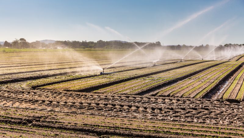Irrigation Installation in Aiken, SC