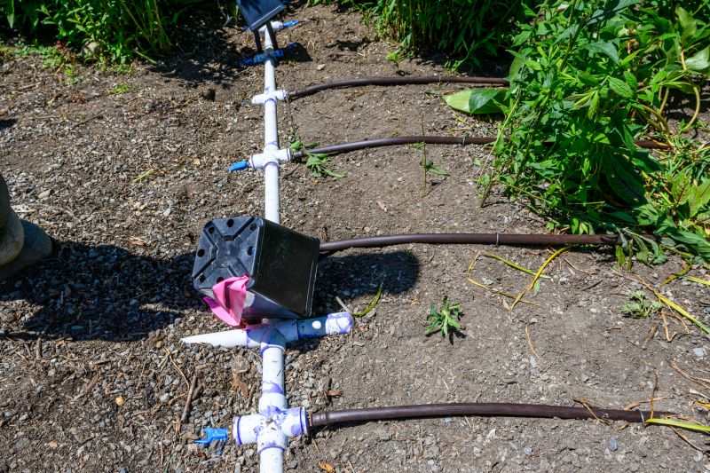 Plant Irrigation Installation in Honolulu, HI