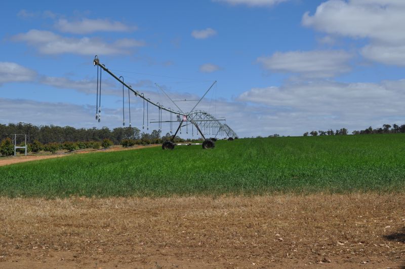 Crop Irrigation Installation in Honolulu, HI