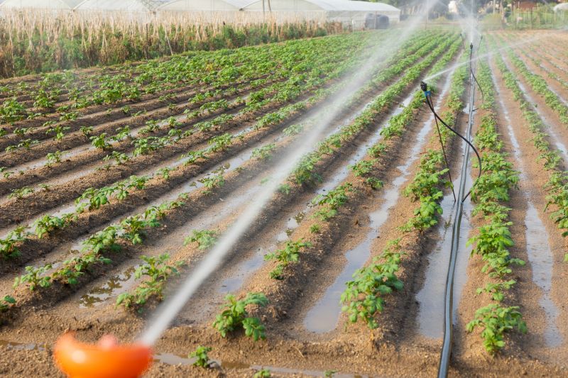 Crop Irrigation Installation in Ventura County, CA