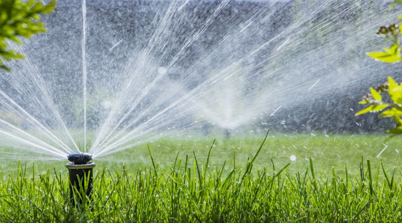 Sprinkler System Service detail
