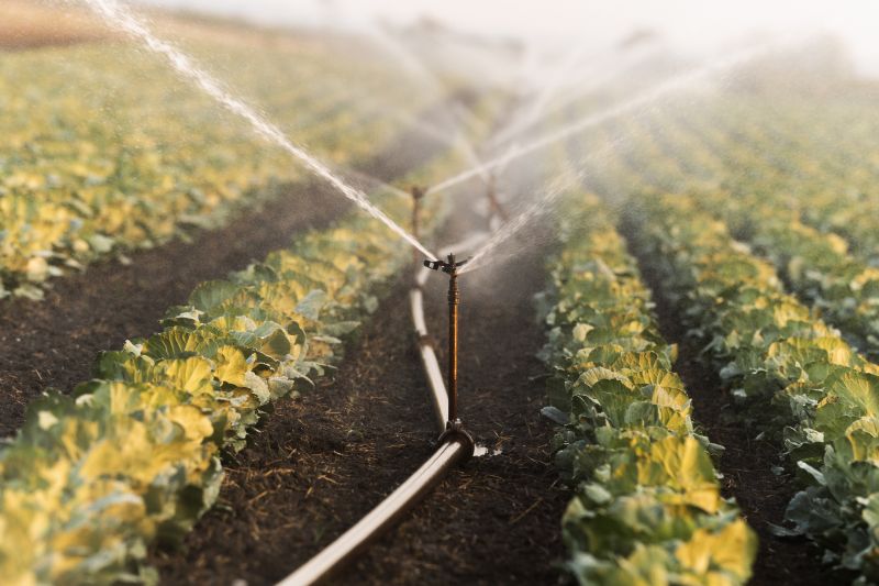 Garden Irrigation Installation in Ventura County, CA