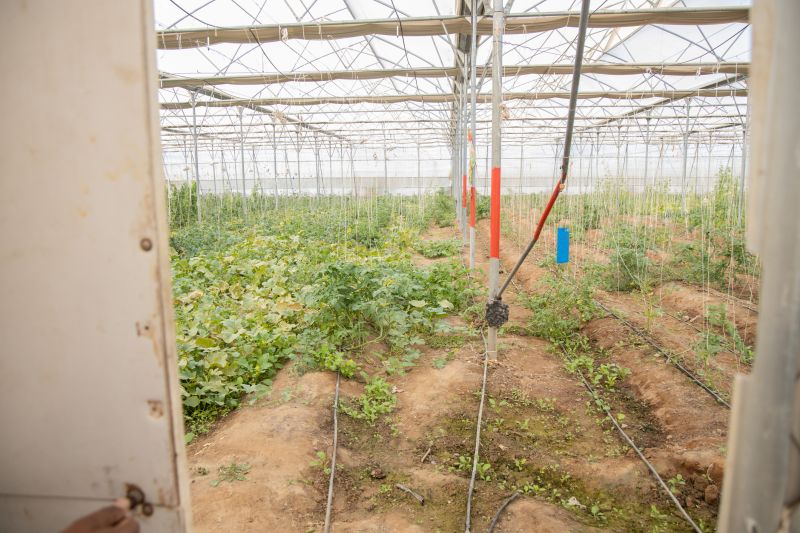 Inground Irrigation Service in Aiken, SC