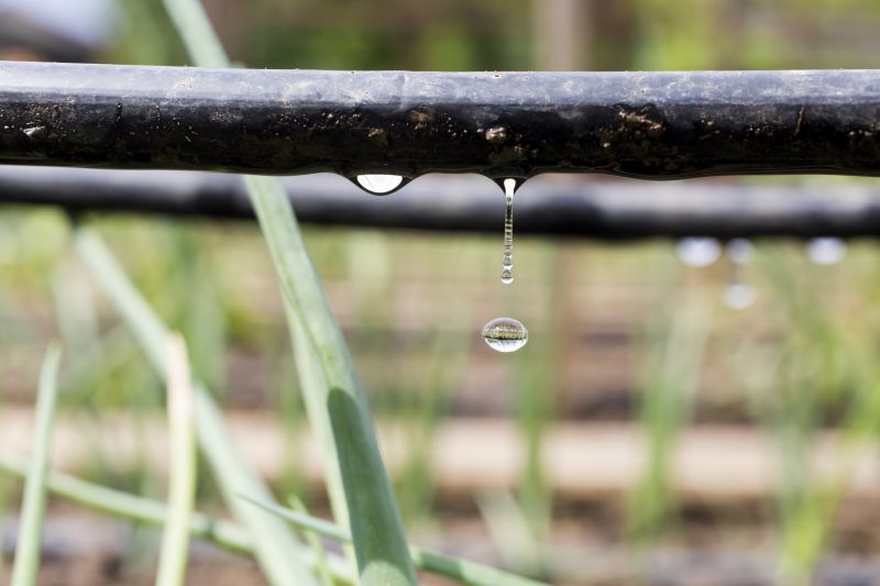 Irrigation Installation in Ventura County, CA