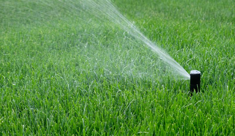 Lawn Sprinkler Replacement in Aiken, SC