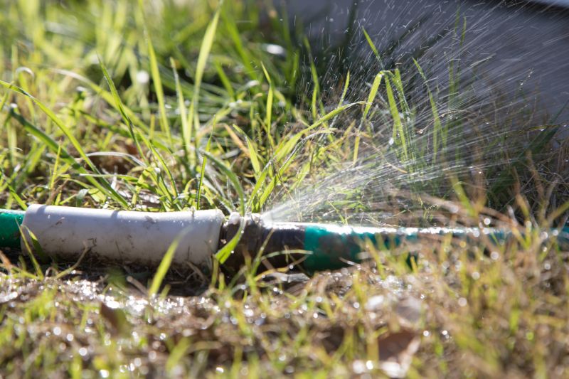 Lawn Sprinkler Replacement in Aiken, SC