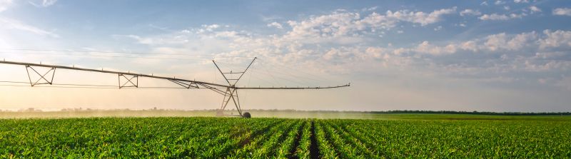 Mist Irrigation Installation in Aiken, SC