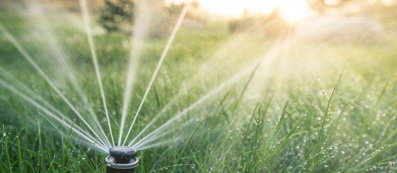 Sprinkler Line Replacement in Aiken, SC