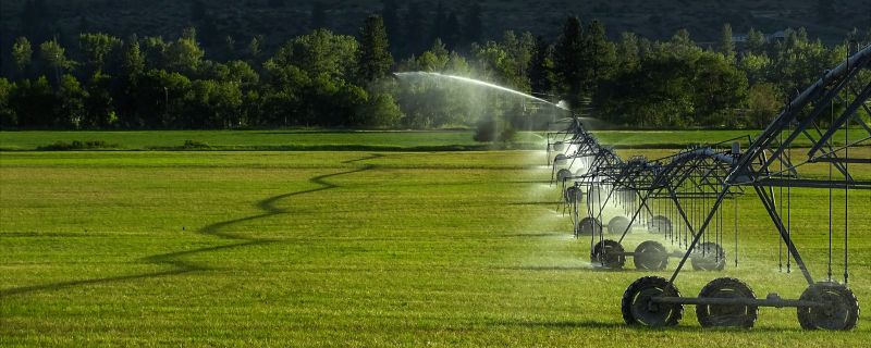 Watering System Installation in Honolulu, HI